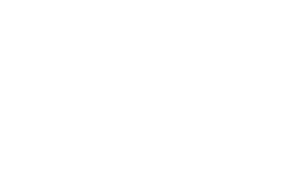 BORN STEM