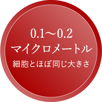 0.1～0.2 マイクロメートル 細胞とほぼ同じ大きさ